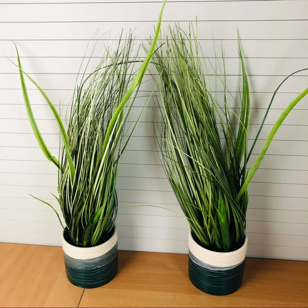 NWT 2Pack Crate&Barrel Artificial Onion Grass in Porcelain Pot